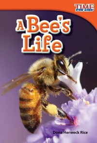 Image of A bee's life