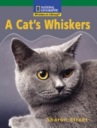 Image of A Cat's Whiskers