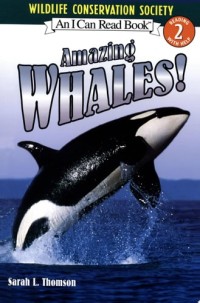 Image of Amazing whales!