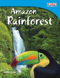 Image of Amazon rainforest