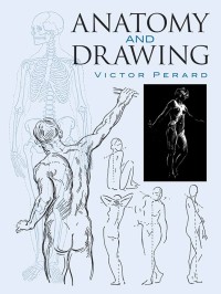 Image of Anatomy and Drawing