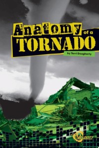 Image of Anatomy of a tornado
