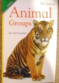 Image of Animals groups