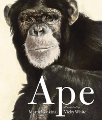 Image of Ape