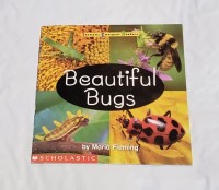 Image of Beautiful Bugs