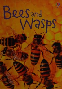 Image of Bees and Wasps