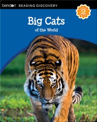 Image of Big cats of the world