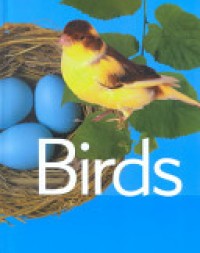 Image of Birds