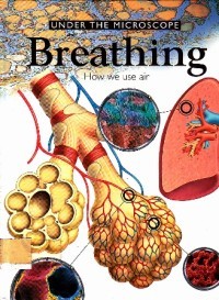 Image of Breathing, how we use air