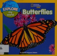 Image of Butterflies