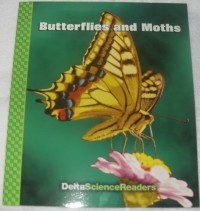 Image of Butterflies and Moths