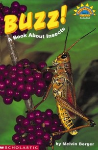 Image of Buzz! : A Book About Insect