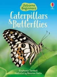 Image of Caterpillars and Butterflies