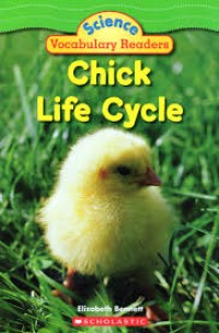 Image of Chick Life Cycle