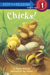 Image of Chicks!