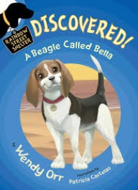 Image of Discovered! A Beagle Called Bella
