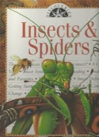 Image of Discoveries : Insects & spiders