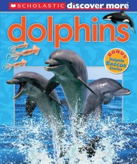 Image of Dolphins