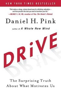 Image of Drive: The Surprising Truth About What Motivates Us