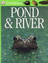 Image of Eyewitness: Pond & River
