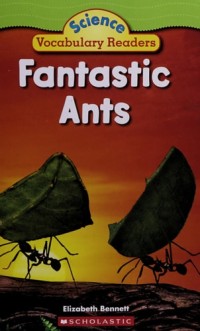Image of Fantastic ants