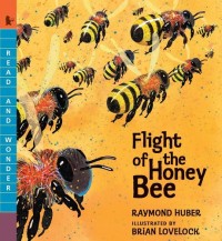 Image of Flight Of The Honey Bee