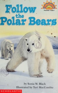 Image of Follow the Polar Bears