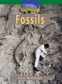 Image of Fossils
