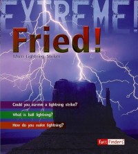 Image of Fried! : when lightning strikes