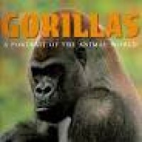 Image of Gorillas : a portrait of the animal world