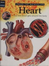 Image of Hearth, how the blood gets around the body