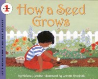 Image of How a seed grows
