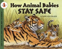 Image of How Animal Babies Stay Safe