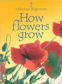 Image of How flowers grow