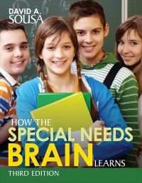 Image of How The Special Needs Brain Learns