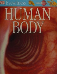 Image of Human body