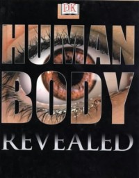 Image of Human Body Revealed