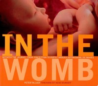 Image of In the Womb