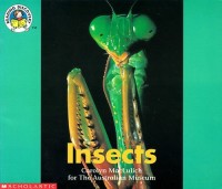 Image of Insects