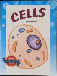 Image of Inside a cell