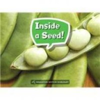 Image of Inside a seed!