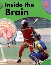 Image of Inside The Brain