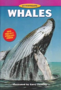 Image of Investigate Whales