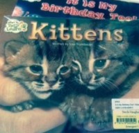 Image of Kittens / It is my birthday, too!