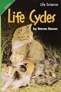 Image of Life cycles