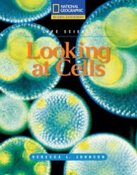 Image of Looking at Cells