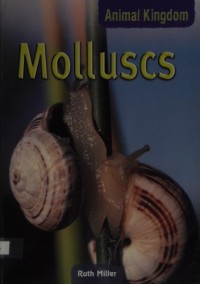 Image of Molluscs