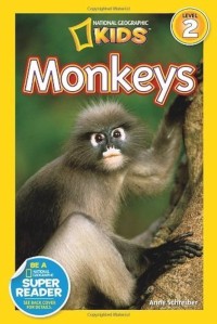 Image of Monkeys