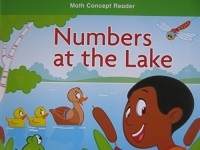 Image of Numbers at the lake (Above-Level)