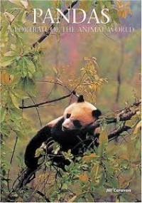 Image of Pandas : a portrait of the animal world